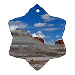 PETRIFIED FORREST TEPEES Ornament (Snowflake)  Front