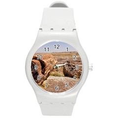 Petrified Desert Round Plastic Sport Watch (m)