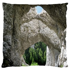 Limestone Formations Standard Flano Cushion Cases (one Side)  by trendistuff