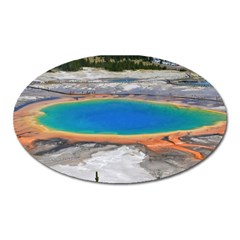 Grand Prismatic Oval Magnet by trendistuff