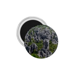 STONE FOREST 1 1.75  Magnets