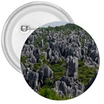 STONE FOREST 1 3  Buttons Front