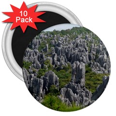 Stone Forest 1 3  Magnets (10 Pack)  by trendistuff