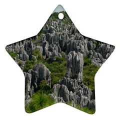 Stone Forest 1 Star Ornament (two Sides)  by trendistuff