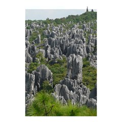 Stone Forest 1 Shower Curtain 48  X 72  (small)  by trendistuff