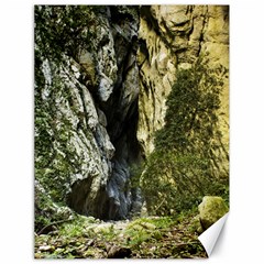 Mountain Path Canvas 18  X 24   by trendistuff