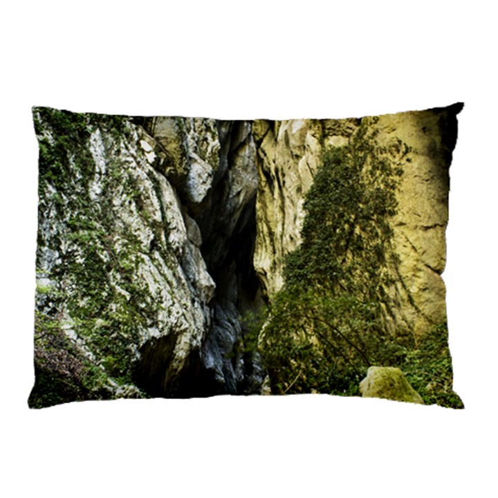 MOUNTAIN PATH Pillow Cases (Two Sides)