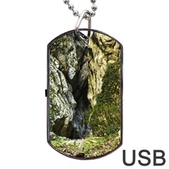 Mountain Path Dog Tag Usb Flash (two Sides)  by trendistuff