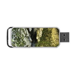 Mountain Path Portable Usb Flash (one Side) by trendistuff