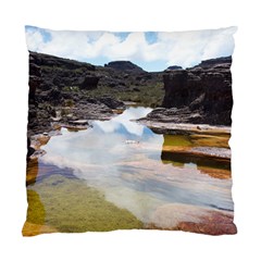 MOUNT RORAIMA 1 Standard Cushion Cases (Two Sides) 