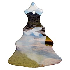 MOUNT RORAIMA 1 Ornament (Christmas Tree)