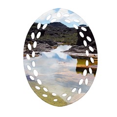 MOUNT RORAIMA 1 Ornament (Oval Filigree) 