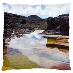 MOUNT RORAIMA 1 Standard Flano Cushion Cases (Two Sides) 