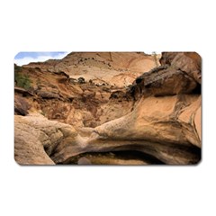 Capital Reefs Magnet (rectangular) by trendistuff