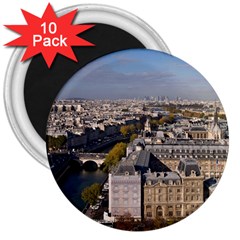 Notre Dame 3  Magnets (10 Pack)  by trendistuff