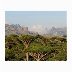 Socotra, Yemen Small Glasses Cloth (2-side) by trendistuff