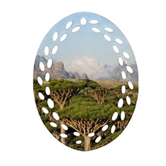 Socotra, Yemen Oval Filigree Ornament (2-side)  by trendistuff