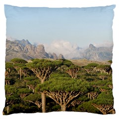 Socotra, Yemen Large Flano Cushion Cases (two Sides)  by trendistuff