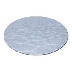 Salt Flats Oval Magnet by trendistuff