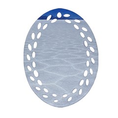 Salt Flats Ornament (oval Filigree)  by trendistuff