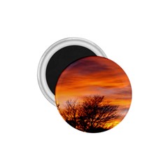 Orange Sunset 1 75  Magnets by trendistuff