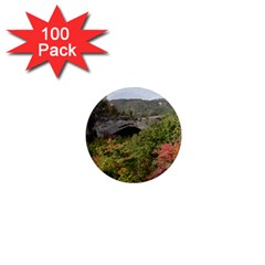 Natural Arch 1  Mini Magnets (100 Pack)  by trendistuff