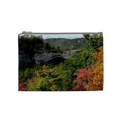 Natural Arch Cosmetic Bag (medium)  by trendistuff