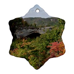 Natural Arch Ornament (snowflake)  by trendistuff