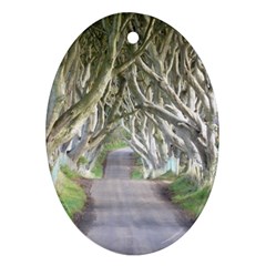 Dark Hedges, Ireland Ornament (oval)  by trendistuff