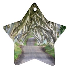 Dark Hedges, Ireland Ornament (star)  by trendistuff