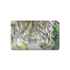 Dark Hedges, Ireland Magnet (name Card) by trendistuff