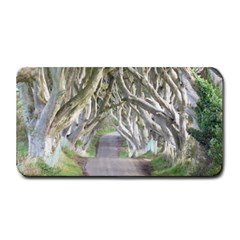 Dark Hedges, Ireland Medium Bar Mats by trendistuff