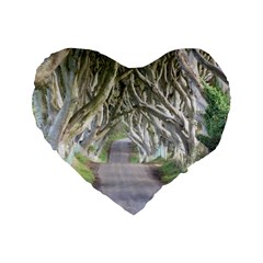 Dark Hedges, Ireland Standard 16  Premium Flano Heart Shape Cushions by trendistuff