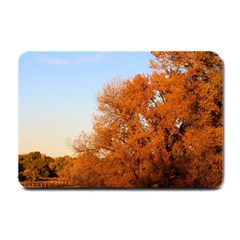 Beautiful Autumn Day Small Doormat  by trendistuff