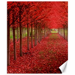 Avenue Of Trees Canvas 8  X 10 