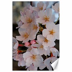 Sakura Canvas 20  X 30   by trendistuff