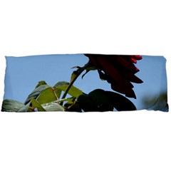 Red Rose 2 Body Pillow Cases (dakimakura)  by trendistuff