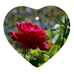 Red Rose 1 Heart Ornament (2 Sides) by trendistuff