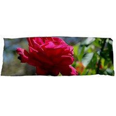 Red Rose 1 Body Pillow Cases (dakimakura)  by trendistuff