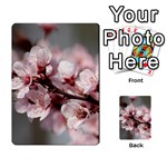 PLUM BLOSSOMS Multi-purpose Cards (Rectangle)  Back 6