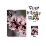 PLUM BLOSSOMS Playing Cards 54 (Mini)  Front - Club2