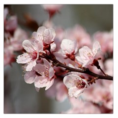 Plum Blossoms Large Satin Scarf (square) by trendistuff