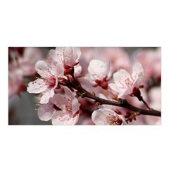 Plum Blossoms Satin Shawl by trendistuff