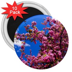 Pink Flowers 3  Magnets (10 Pack)  by trendistuff