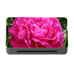 Paeonia Eleanor Memory Card Reader With Cf