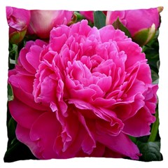 Paeonia Eleanor Large Cushion Cases (one Side)  by trendistuff