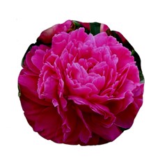 Paeonia Eleanor Standard 15  Premium Round Cushions by trendistuff