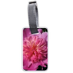 Paeonia Coral Luggage Tags (one Side)  by trendistuff