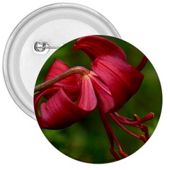 Lilium Red Velvet 3  Buttons by trendistuff