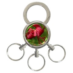 Lilium Red Velvet 3-ring Key Chains by trendistuff